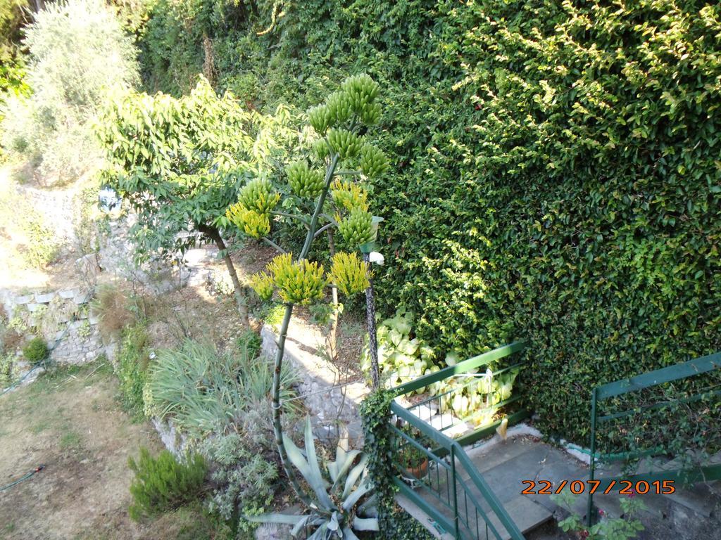 Valsolda Villa Bianca מראה חיצוני תמונה